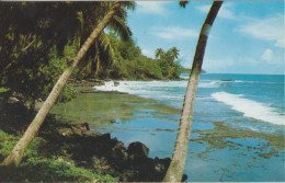 Cpsm Tahiti La Plage De Galets - Französisch-Polynesien