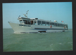 Bateau - Véhicule Amphibie - LA SIRENE DE LA BAIE (35 Le Vivier Sur Mer) Véhicule Terrestre Et Sur Mer - Sonstige & Ohne Zuordnung