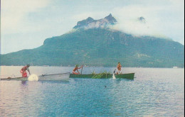Cpsm Pêche Aux Cailloux à Borabora - Polynésie Française