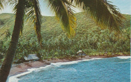 Cpsm   Tahiti Fare Polynésien Au Bord Du Lagon - Frans-Polynesië