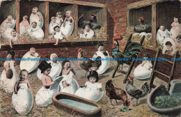 R677964 Barn. Chickens And Children. Series 319. 1905 - Mundo