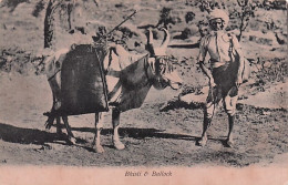 India - Bhisti Et Bullock - India
