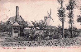 ELLEZELLES - Rigaudeaye - Attelage - Moulin - 1911 - Ellezelles