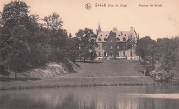 Tinlot - SOHEIT  - Chateau De Soheit - Tinlot