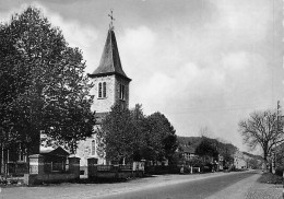 HAMPTEAU Sur OURTHE  -  L'église Sy Michel - Hotton