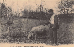 24 - Dordogne - En Perigord  - La Recherche Des Truffes - L'arret-  Reproduction Cecodi - Autres & Non Classés