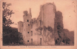 21 - Environs De Montbard - Chateau De Rochefort - Montbard