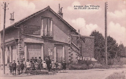 91 - Palaiseau - Avenue Des Tilleuls Au PILEU  - Rare - Palaiseau