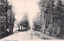 PERUWELZ -  La Dreve - 1909 - Peruwelz