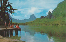 Cpsm Paysage De La Baie De Cook Paopao Moorea - Polinesia Francese