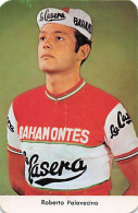 Vélo - Cyclisme - Coureur Cycliste Roberto Palavecino - Team Bahamontes - La Casera - 1972 - Autres & Non Classés