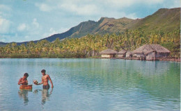 Cpsm Baie De Pahure Tahaa - Polinesia Francese