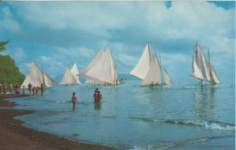 Cpsm Course De Pirogues Dans La Rade De Papette Juillet 1965 - Polynésie Française
