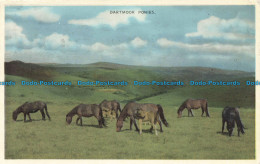 R679103 Dartmoor Ponies. Chapman. 1963 - Monde