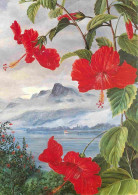 Art - Peinture - A View From Marianne North's Window At Mr Estridge's House With The Harbour Of Mahé Below - The Showy S - Paintings