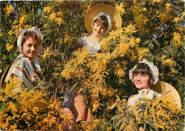 Femmes - Provence - Trois Jolies Provençales Dans Les Mimosas - Fleurs - Folklore - CPM - Voir Scans Recto-Verso - Donne