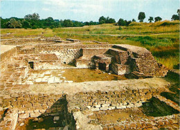 89 - Saint Père Sous Vézelay - Fouilles Des Fontaines Salées - Bains Gallo-Romains - Piscine Chaude - Côté Hommes - Vue  - Sonstige & Ohne Zuordnung