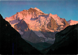 Suisse - BE Berne - Jungfrau - Sonnenuntergang - CPM - Carte Neuve - Voir Scans Recto-Verso - Autres & Non Classés