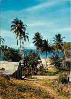 Antilles - Rivage Caraibe - CPM - Voir Scans Recto-Verso - Sonstige & Ohne Zuordnung