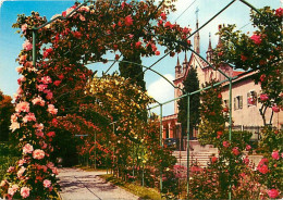 06 - Nice - Le Monastère De Cimiez - Les Jardins - Fleurs - CPM - Carte Neuve - Voir Scans Recto-Verso - Parks