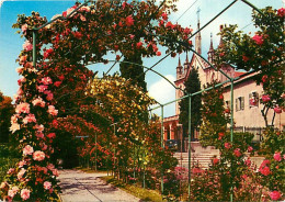 06 - Nice - Le Monastère De Cimiez - Les Jardins - Fleurs - CPM - Carte Neuve - Voir Scans Recto-Verso - Parken En Tuinen