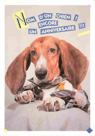 Animaux - Chiens - CPM - Voir Scans Recto-Verso - Cani