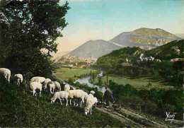 Animaux - Moutons - Lourdes - La Vallée Et Le Pic Du Jer - CPM - Voir Scans Recto-Verso - Autres & Non Classés