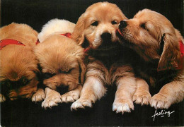 Chiens - CPM - Voir Scans Recto-Verso - Cani