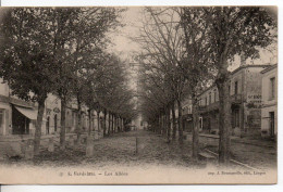 Carte Postale Ancienne Verdelais - Les Allées - Verdelais