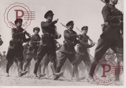 FUERZAS DE ASALTO INFANTERIA DESFILANDO MINISTRO DE GOBERNACION PRE GUERRA CIVIL II REPUBLICA ESPAÑA 1935 15.5X11CM - Guerra, Militares