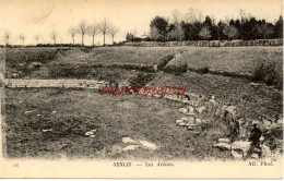 CPA SENLIS - LES ARENES - Senlis