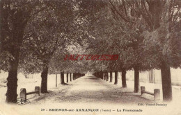 CPA BRIENON SUR ARMANCON - (YONNE) - LA PROMENADE - Brienon Sur Armancon