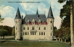 CPA MONTARGIS - ENVIRON - CHATEAU DE LISLEDON - Montargis