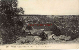 CPA FONTAINEBLEAU - FORET - LES GORGES DE FRANCHARD - LL - Fontainebleau