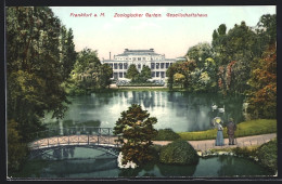 AK Frankfurt /Main, Zoologischer Garten, Wasserpartie Mit Brücke  - Autres & Non Classés
