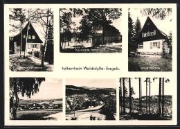 AK Falkenhain /Erzgeb., Gasthaus Falkenhain, Pension Haus Felicitas, Pension Haus In Der Sonne  - Autres & Non Classés