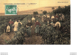 CPA (Charente) VENDANGES CHARENTAISES "La Métairie" - Weinberge