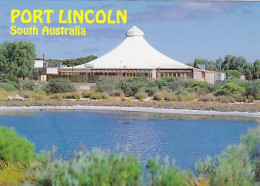 AK 215247 AUSTRALIA - Port Lincoln - Other & Unclassified