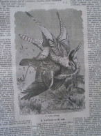 D203507  P504 Hunting With Falcon At Chalons    -  Woodcut From A Hungarian Newspaper   1866 - Estampes & Gravures