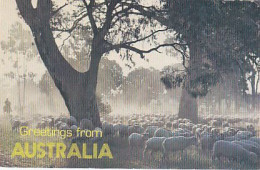 AK 215254 AUSTRALIA - Australian Rural Scene - Otros & Sin Clasificación