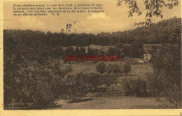 CPA CLERMONT EN ARGONNE - LE PREVENTORIUM - Clermont En Argonne