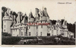 CPA 37 - CHATEAU D'USSE - Other & Unclassified