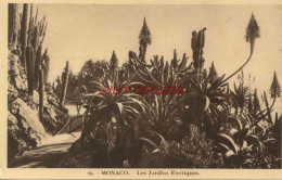 CPA MONACO - LES JARDINS EXOTIQUES - Other & Unclassified