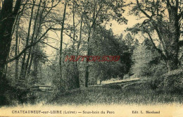 CPA CHATEAUNEUF SUR LOIRE - (LOIRET) - SOUS BOIS DU PARC - Autres & Non Classés