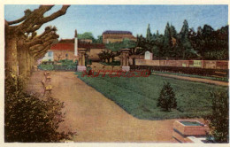 CPA TOURNUS - (S. ET L.) - SQUARE DU CHAMP DE FOIRE - Other & Unclassified