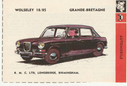 WOLSELEY 18/85  ( Fiche Souple Spirou Des Années 70 ) - Passenger Cars