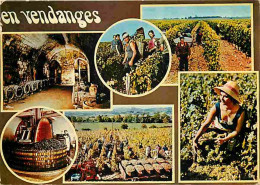 Vignes - En Vendanges - Multivues - CPM - Voir Scans Recto-Verso - Wijnbouw