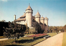 Chateaux - Thonon Les Bains - Château De Ripaille - Haute Savoie - CPM - Carte Neuve - Voir Scans Recto-Verso - Castles