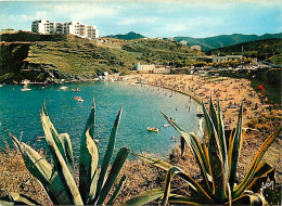 66 - Banyuls Sur Mer - La Plage Des Elmes - CPM - Voir Scans Recto-Verso - Banyuls Sur Mer