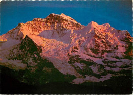 Suisse - BE Berne - Jungfrau - Sonnenuntergang - CPM - Carte Neuve - Voir Scans Recto-Verso - Autres & Non Classés